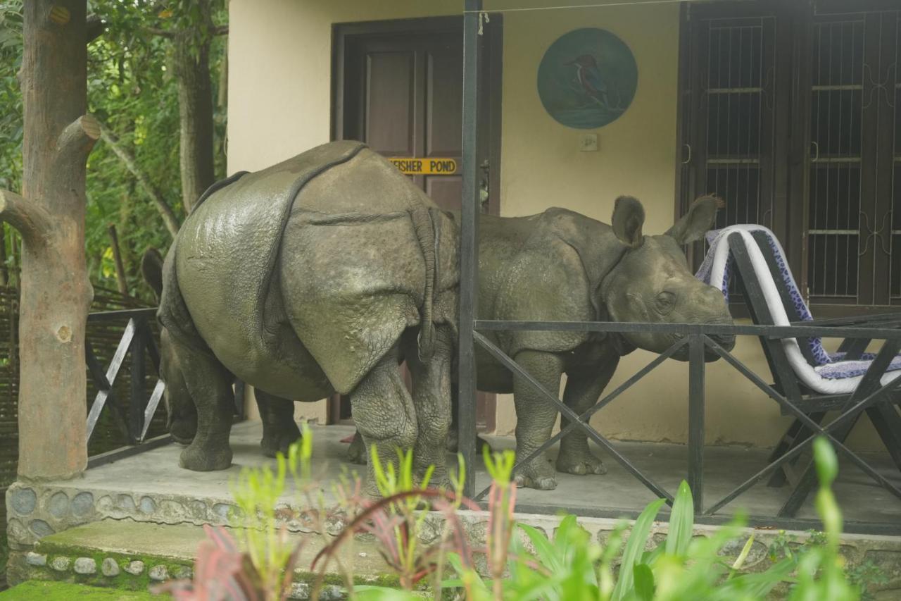 Chitwan Gaida Lodge - Animal Lovers & Birdwatchers Paradise سوراها المظهر الخارجي الصورة