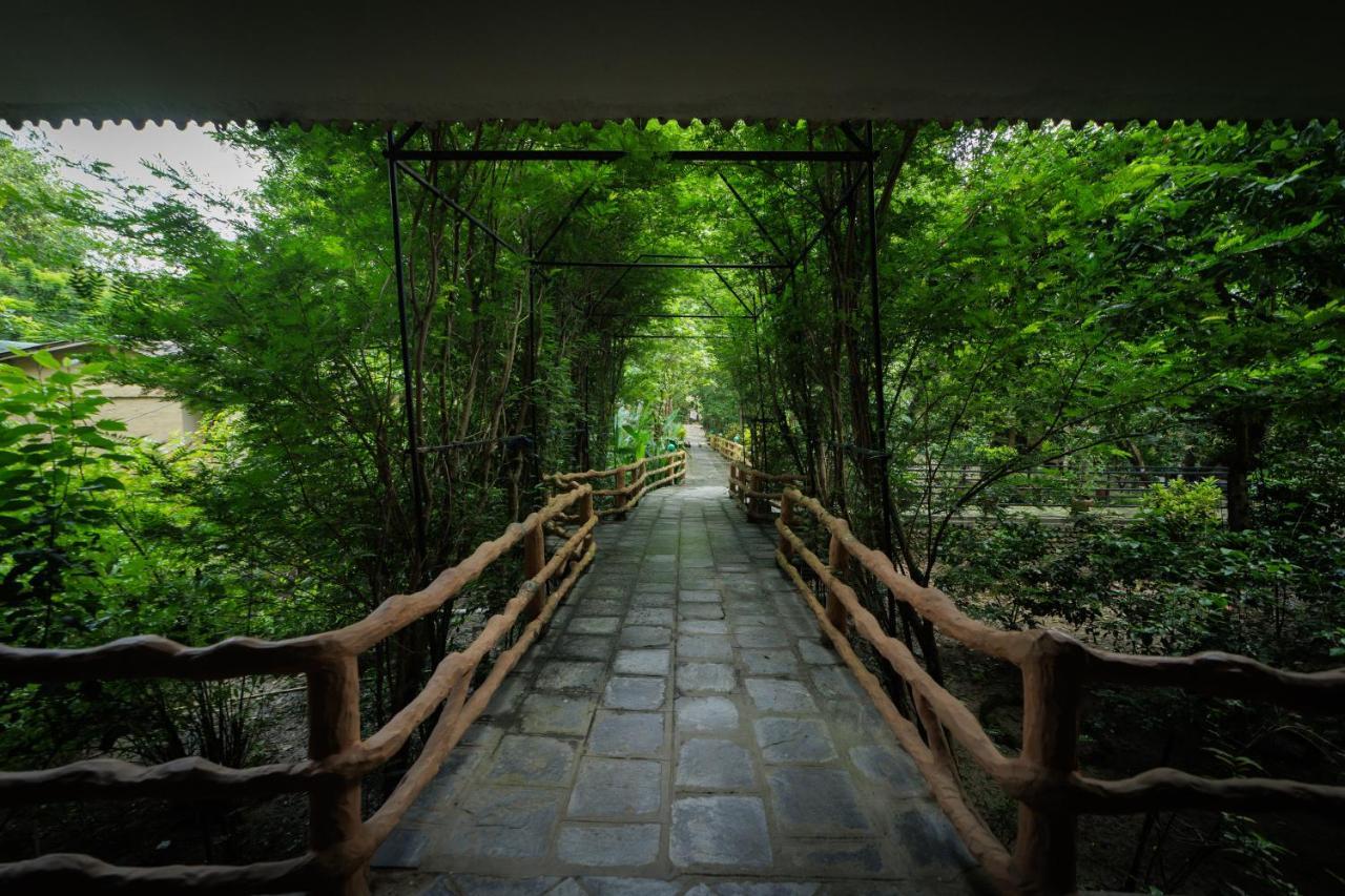 Chitwan Gaida Lodge - Animal Lovers & Birdwatchers Paradise سوراها المظهر الخارجي الصورة