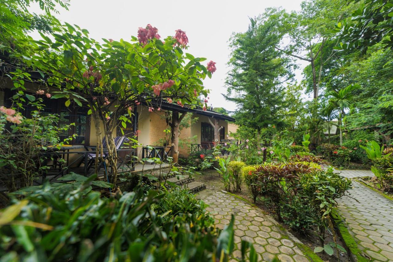 Chitwan Gaida Lodge - Animal Lovers & Birdwatchers Paradise سوراها المظهر الخارجي الصورة