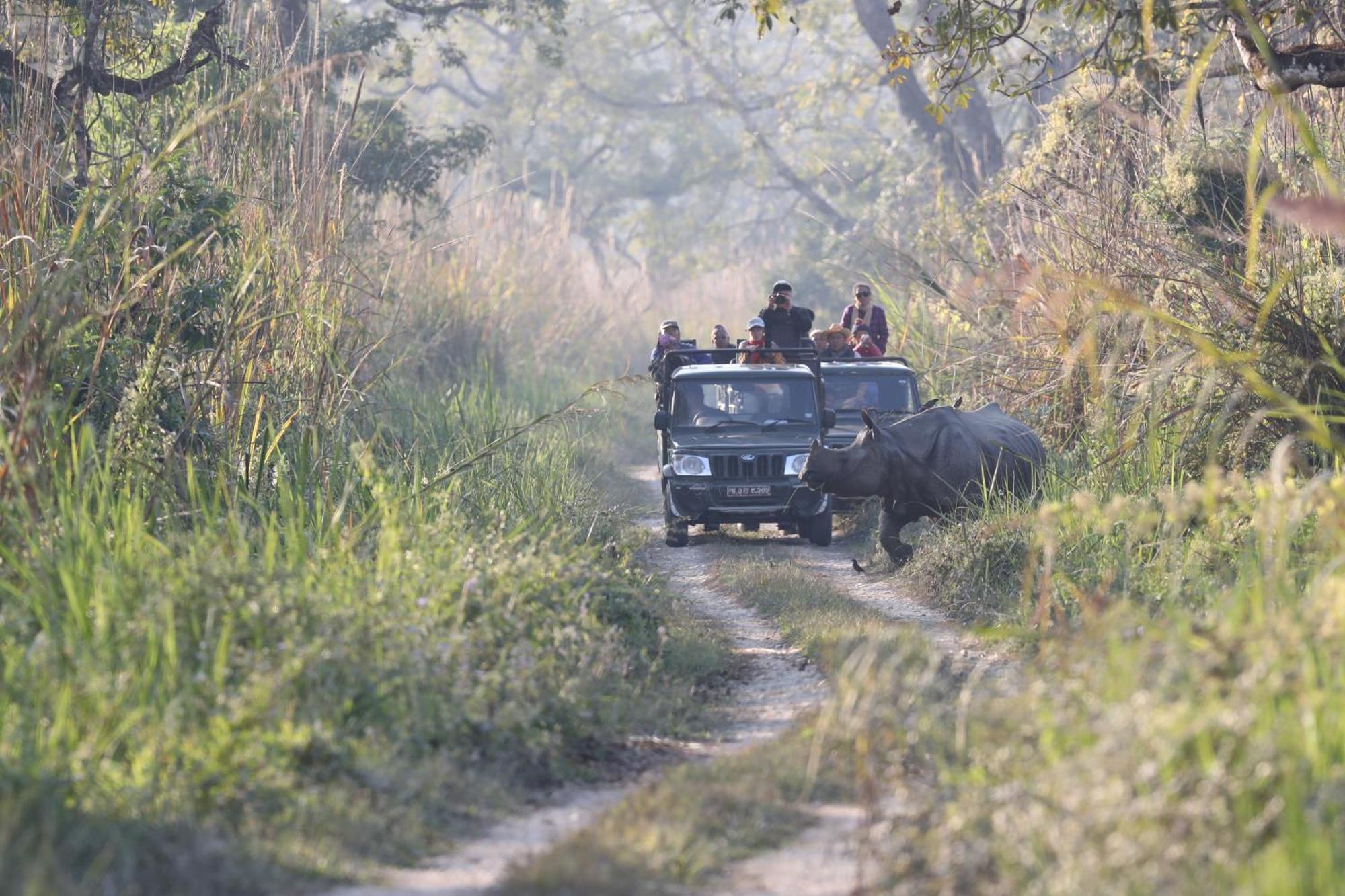 Chitwan Gaida Lodge - Animal Lovers & Birdwatchers Paradise سوراها المظهر الخارجي الصورة