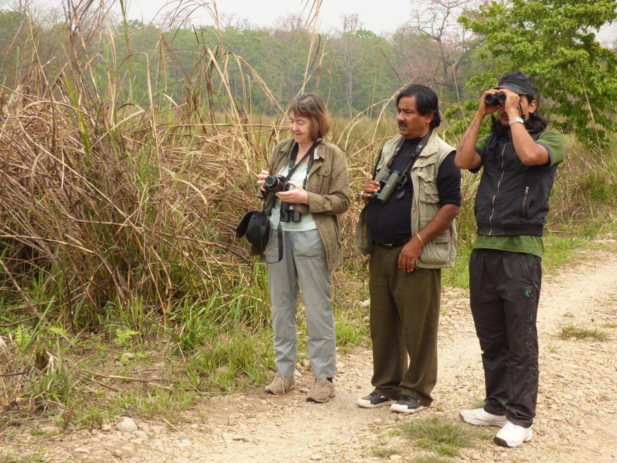 Chitwan Gaida Lodge - Animal Lovers & Birdwatchers Paradise سوراها المظهر الخارجي الصورة