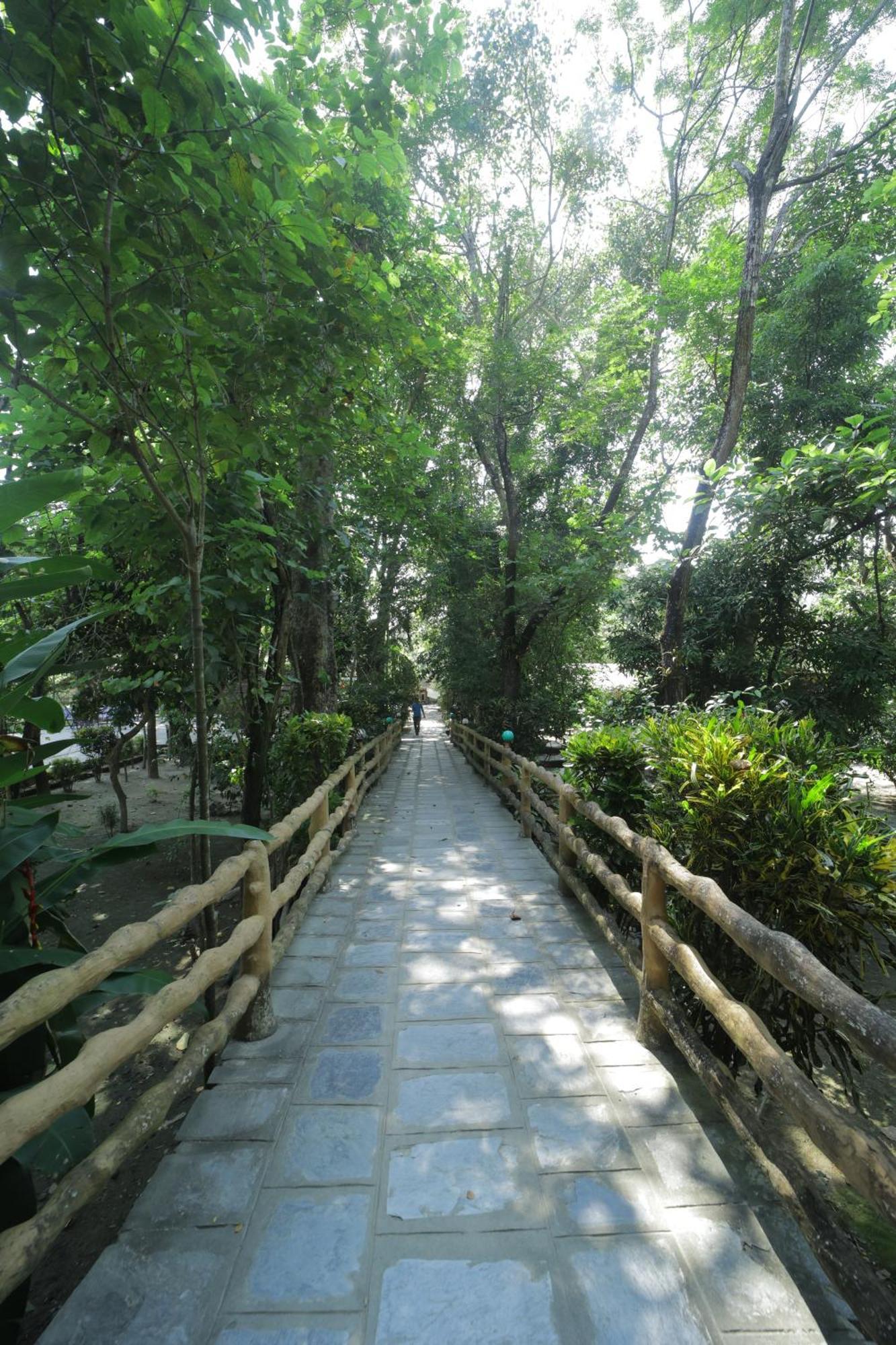 Chitwan Gaida Lodge - Animal Lovers & Birdwatchers Paradise سوراها المظهر الخارجي الصورة