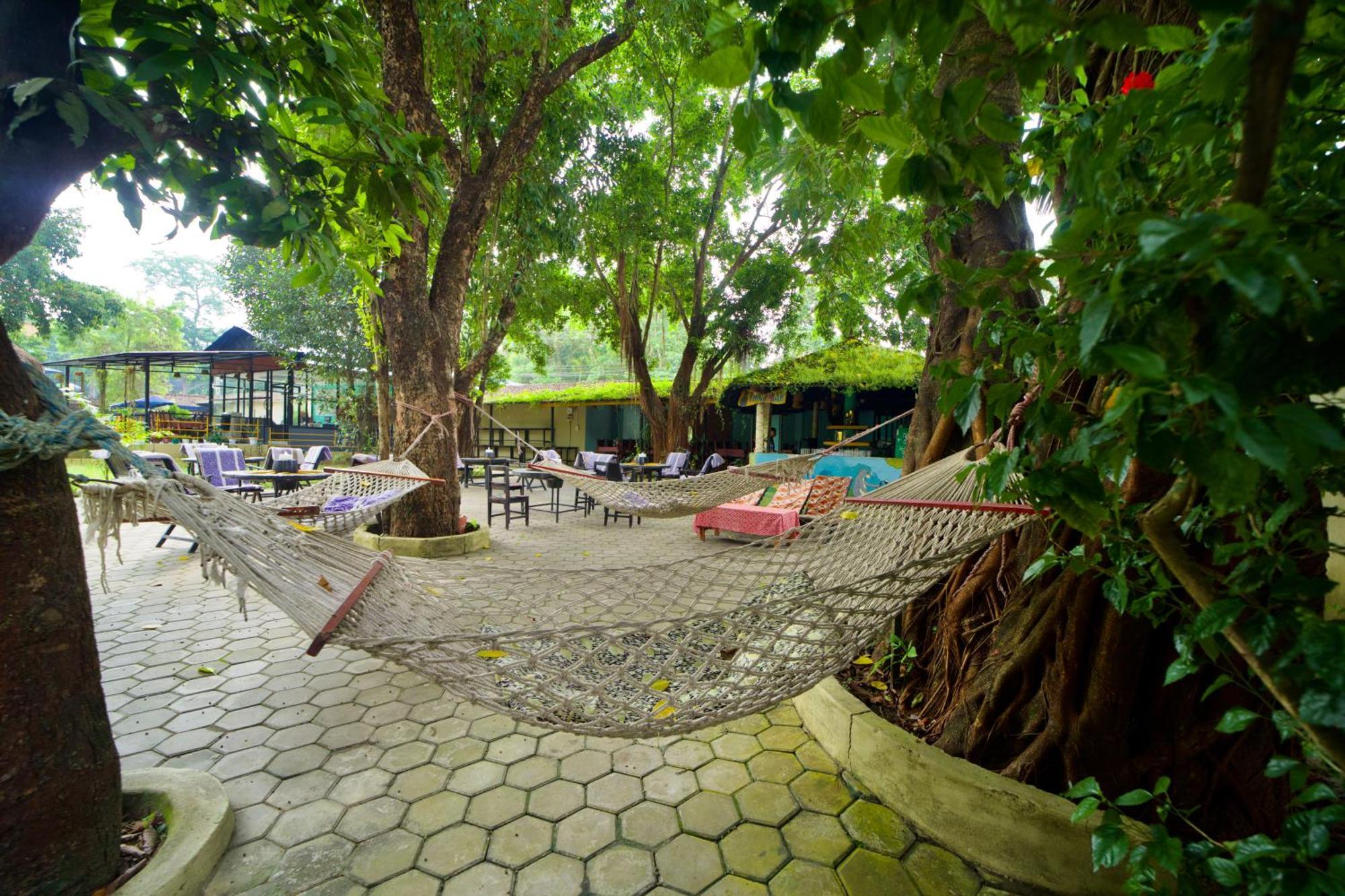 Chitwan Gaida Lodge - Animal Lovers & Birdwatchers Paradise سوراها المظهر الخارجي الصورة